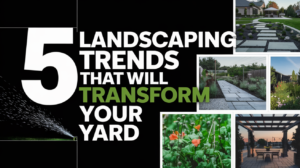 5 Landscaping Trends That Will Transform Your Yard