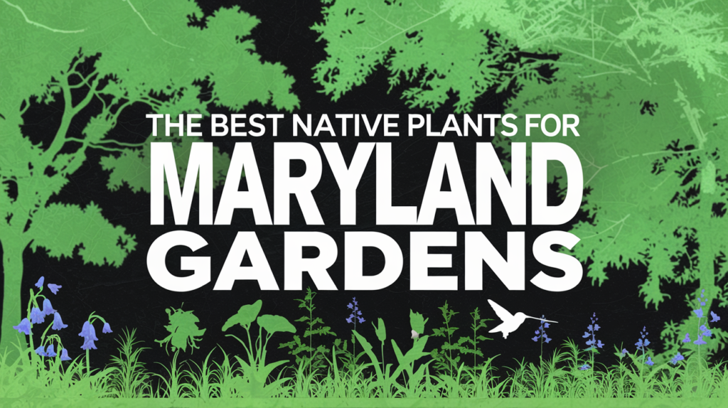 The Best Native Plants for Maryland Gardens
