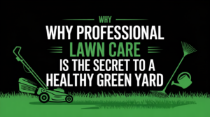 Why Professional Lawn Care is the Secret to a Healthy, Green Yard