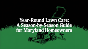 Year-Round Lawn Care: A Season-by-Season Guide for Maryland Homeowners