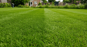 Professional Lawn Care in Harford, Cecil & Baltimore Counties