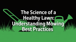 The Science of a Healthy Lawn Understanding Mowing Best Practices