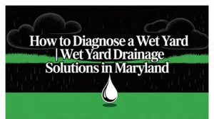 How to Diagnose a Wet Yard Before It Destroys Your Foundation