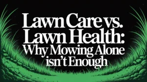 Lawn Care vs. Lawn Health Why Mowing Alone Isn’t Enough